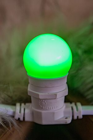 Светодиодная лампа для Белт-лайта Rich LED, зеленая, d-45 мм, 1 Вт, Е27, Rich LED