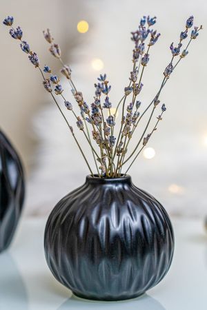 Керамическая ваза ЗАЛИНА, чёрная, 9х10 см, Boltze