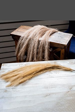 Декоративная ветка ПЬЮМЭ, искусственные перья, персиковая, 130 см, Koopman International