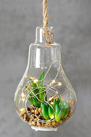 Декоративный подвесной светильник СУККУЛЕНТЫ С ОГОНЬКОМ, тёплые белые микро LED-огни, стекло, пластик, батарейки, 12 см, Boltze