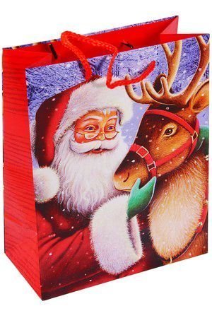 Подарочный пакет БАББО НАТАЛЕ (с оленем), 20х25 см, Due Esse Christmas