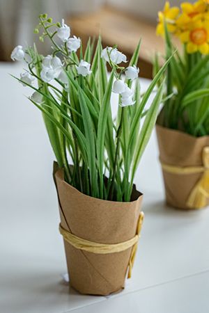 Искусственные цветы ВЕСНА В ПАКЕТИКЕ - ЛАНДЫШИ, пластик, 20 см, Kaemingk