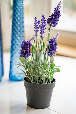 Искусственные цветы ЛАВАНДА в горшке, фиолетовые, полиэстер, 25 см, Kaemingk