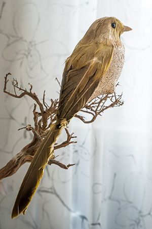 Украшение птичка ЗОЛОТАЯ АПОЛЛОНОВКА на клипсе, перо, золотая, 30 см, Kaemingk (Decoris)