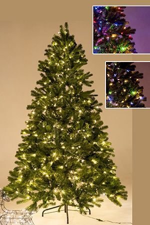 Искусственная ель БЕЙБЕРРИ (Power Connect - Dual Color), (литая хвоя РЕ+PVС), 550 теплых белых/разноцветных LED-огей, 213 см, National Tree Company