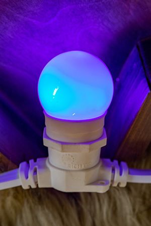 Декоративные LED-ЛАМПЫ (3 диода) в виде шара, 45 мм, цоколь Е27, 1 Вт, цвет: синий, 