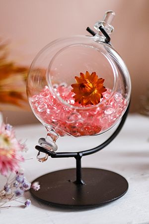 Прозрачные вазы для цветов