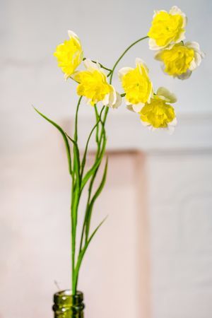 Декоративная ветка-цветок НАРЦИСС МАХРОВЫЙ, бело-жёлтый, 80 см, EDG