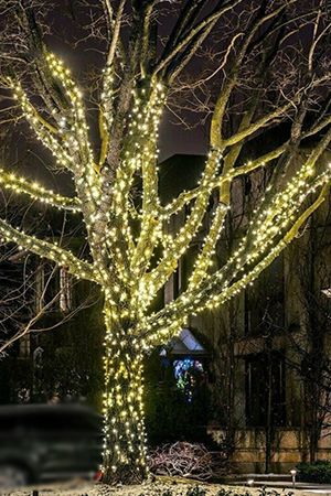 Гирлянды на дерево Клип Лайт Quality Light Cap 60 м, 600 теплых белых LED ламп, прозрачный ПВХ, IP65, BEAUTY LED