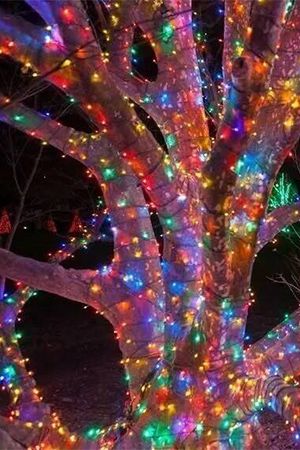 Гирлянды на дерево Клип Лайт Quality Light Cap 60 м, 600 разноцветных LED ламп, прозрачный ПВХ, IP65, BEAUTY LED