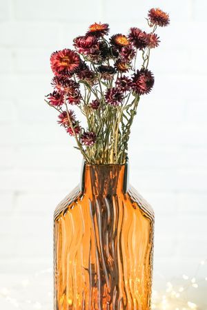 Букет из высушенных цветов ЗЛАТОЦВЕТ - ПОЛЫХАНИЕ ОСЕНИ, красный, 50 см, Kaemingk